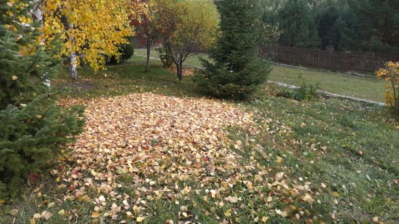 https://naberezhnye-chelny.mslandshaft.ru/storage/app/uploads/public/642/ac5/f22/642ac5f2293e2935715739.jpg